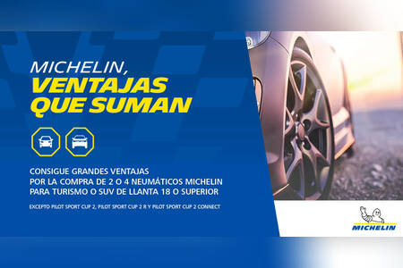 Neumáticos Michelin